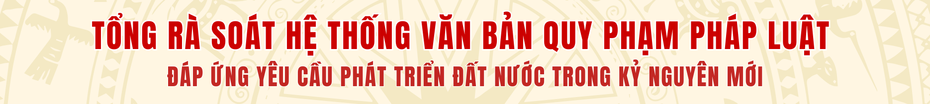Tổng rà soát văn bản.png